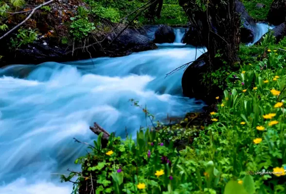 خدمت به امام زمان (عج) 02