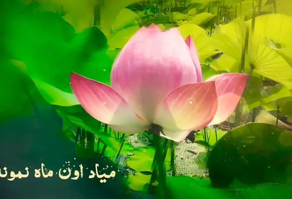 خدمت به امام زمان (عج) 07