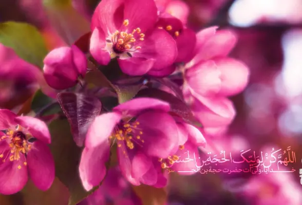 صبح ظهور - ربیع الثانی 06