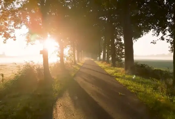 صبح ظهور - ربیع الثانی 08