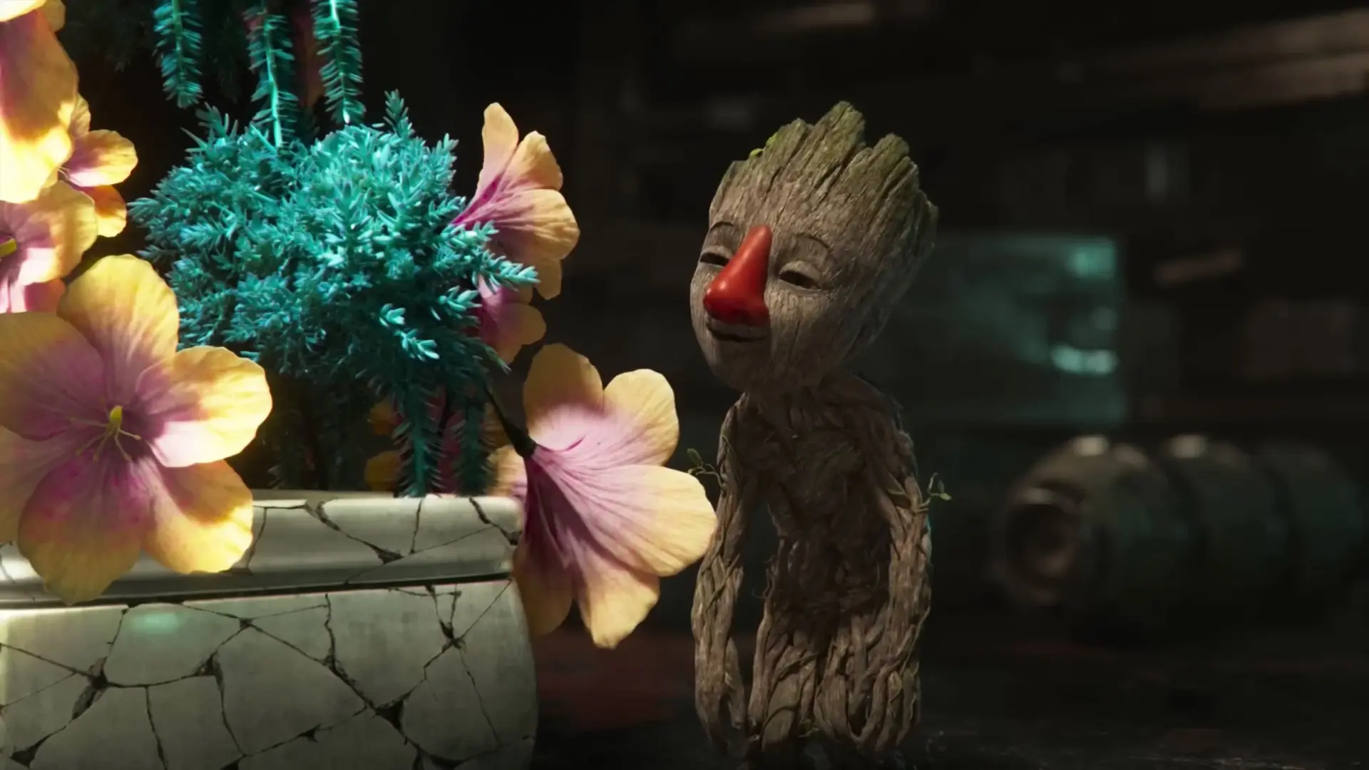 بینی‌های گروت در اطراف