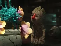 بینی‌های گروت در اطراف