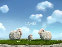 بره ها