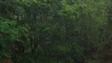 سلام 5