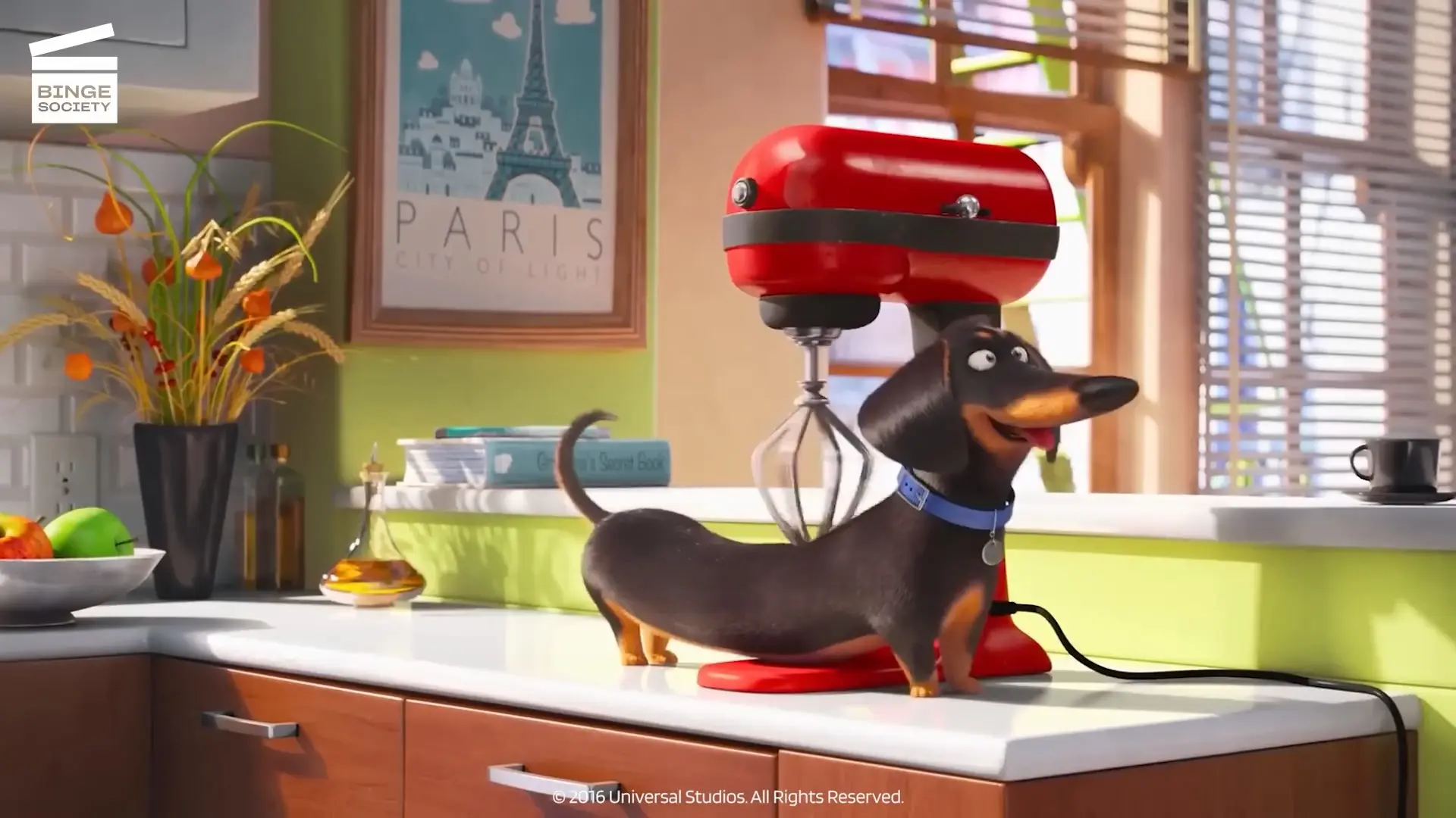 زندگی مخفی حیوانات خانگی