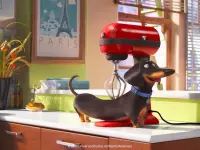 زندگی مخفی حیوانات خانگی